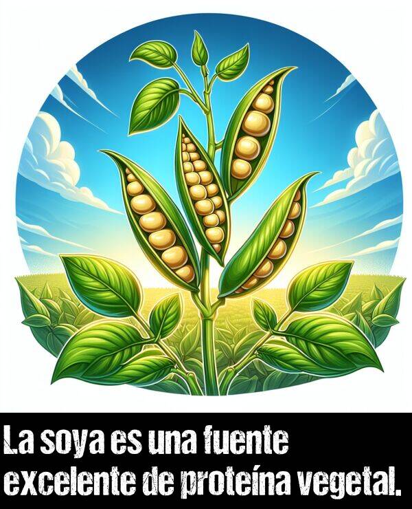 protena: La soya es una fuente excelente de protena vegetal.