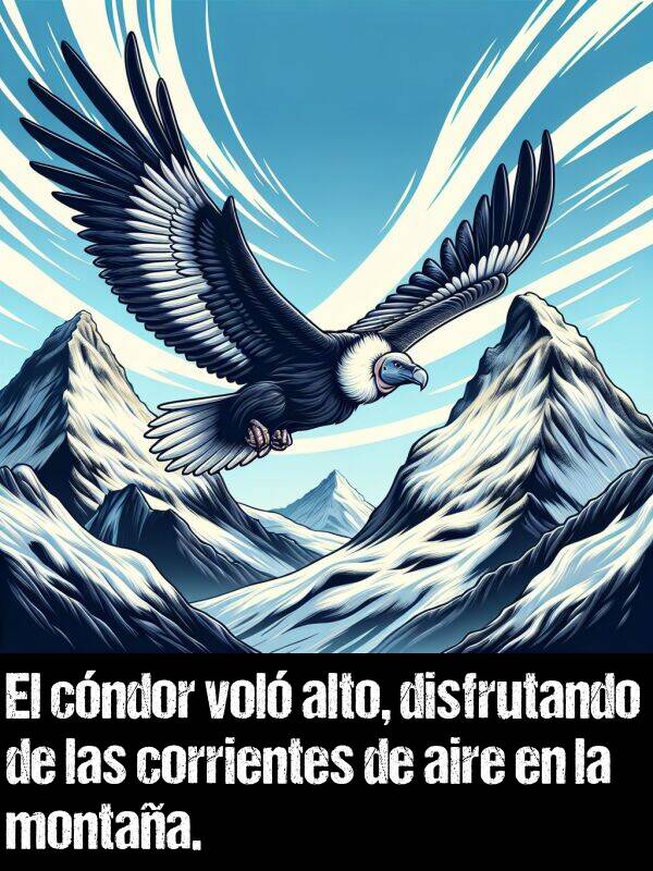 corrientes: El cndor vol alto, disfrutando de las corrientes de aire en la montaa.