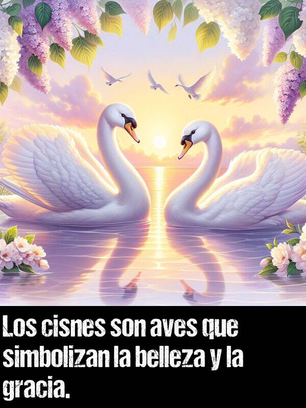 aves: Los cisnes son aves que simbolizan la belleza y la gracia.