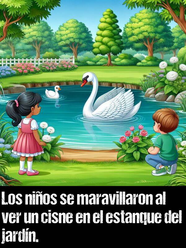 maravillaron: Los nios se maravillaron al ver un cisne en el estanque del jardn.