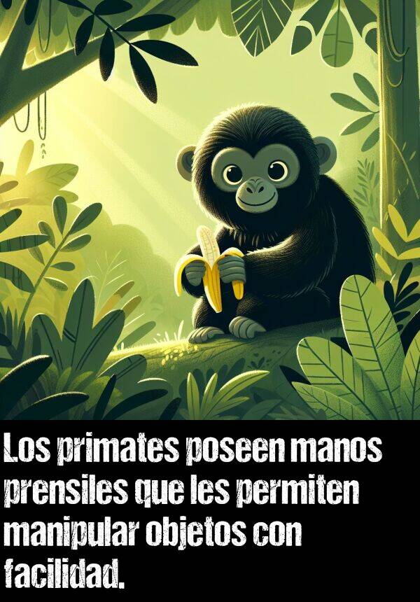 facilidad: Los primates poseen manos prensiles que les permiten manipular objetos con facilidad.