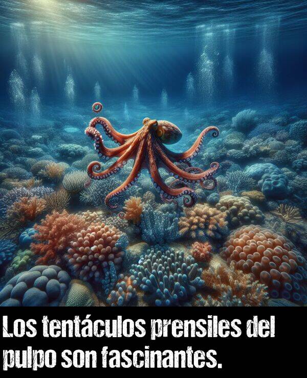 prensiles: Los tentculos prensiles del pulpo son fascinantes.