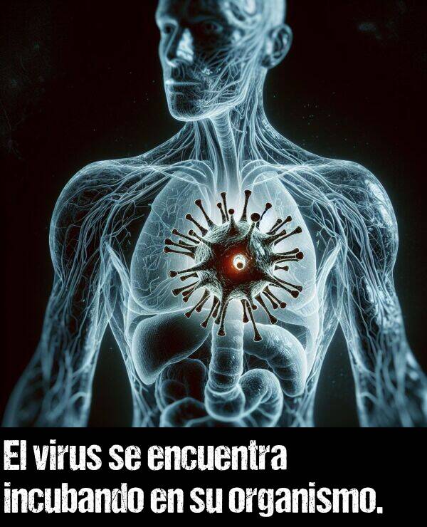 virus: El virus se encuentra incubando en su organismo.