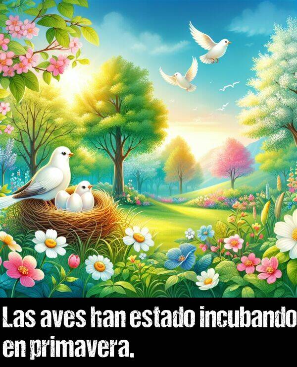 han: Las aves han estado incubando en primavera.