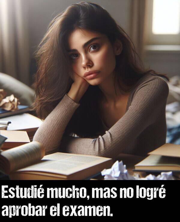 lograr: Estudi mucho, mas no logr aprobar el examen.