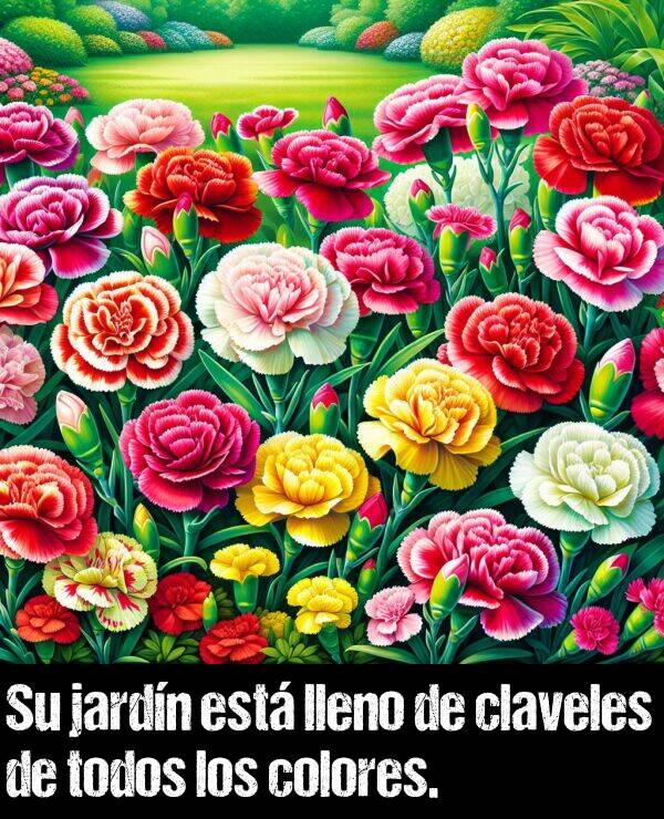 claveles: Su jardn est lleno de claveles de todos los colores.