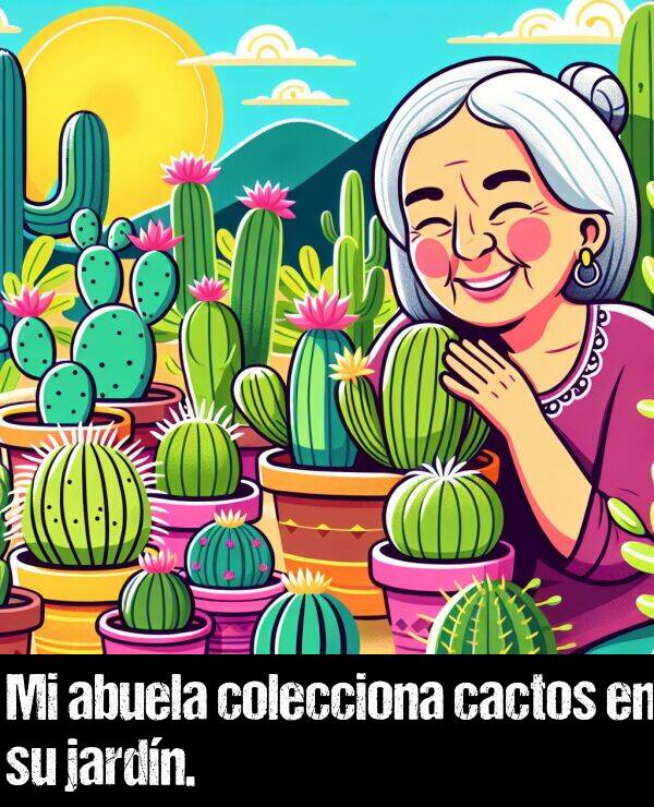 cactos: Mi abuela colecciona cactos en su jardn.