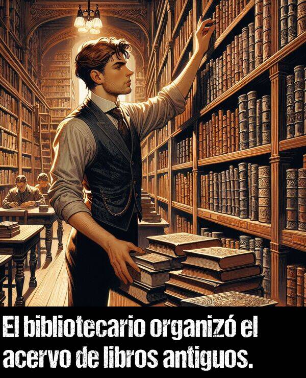 organiz: El bibliotecario organiz el acervo de libros antiguos.