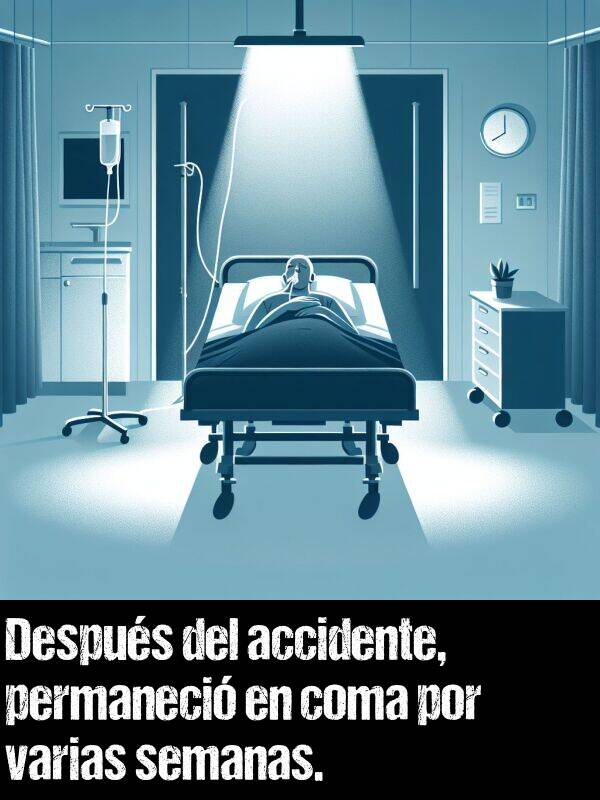 permaneci: Despus del accidente, permaneci en coma por varias semanas.