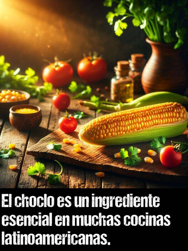 cocinas: El choclo es un ingrediente esencial en muchas cocinas latinoamericanas.