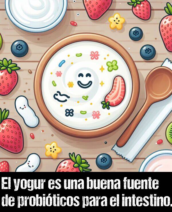 intestino: El yogur es una buena fuente de probiticos para el intestino.