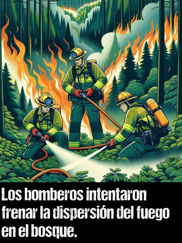 dispersin: Los bomberos intentaron frenar la dispersin del fuego en el bosque.