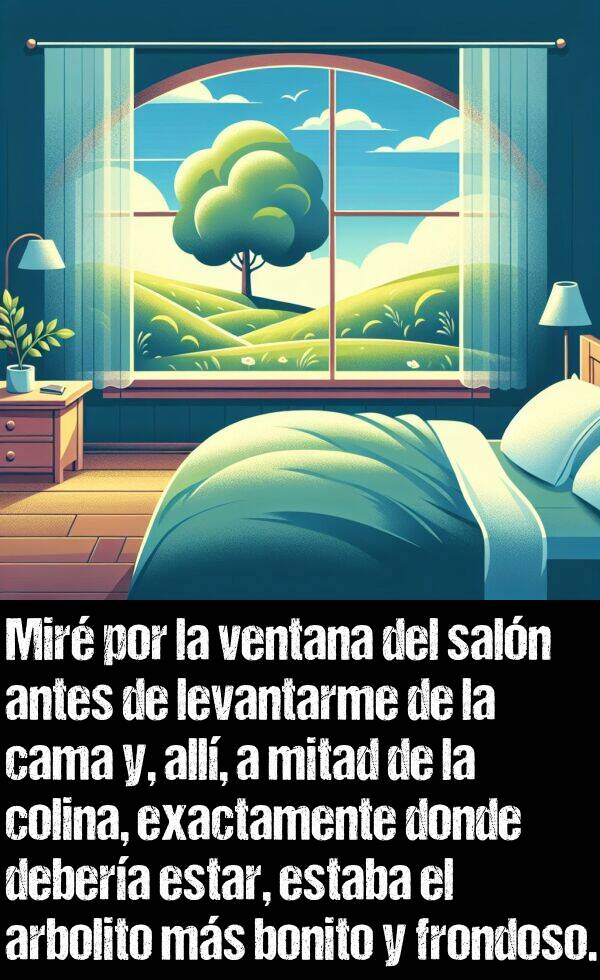 bonito: Mir por la ventana del saln antes de levantarme de la cama y, all, a mitad de la colina, exactamente donde debera estar, estaba el arbolito ms bonito y frondoso.