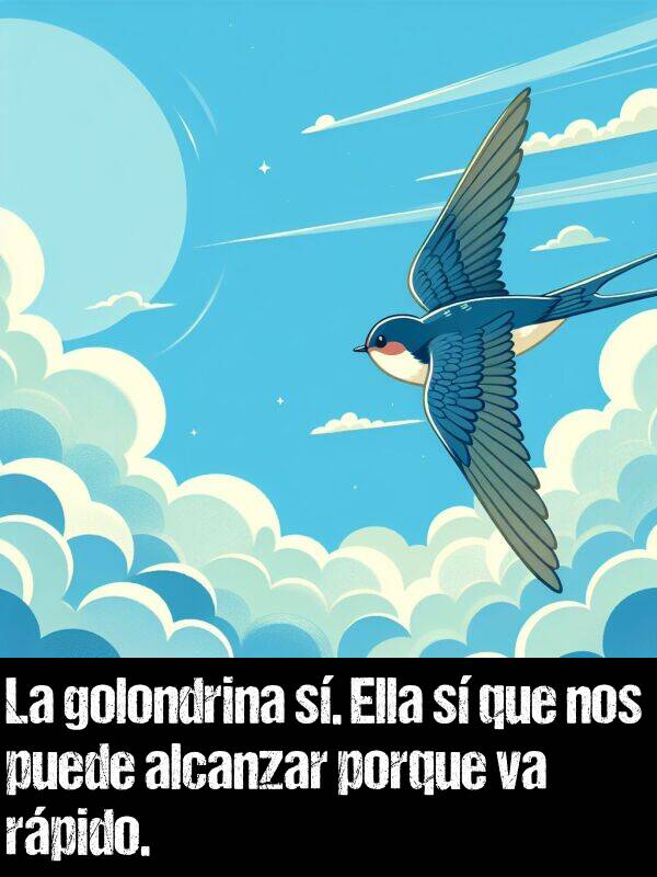 golondrina: La golondrina s. Ella s que nos puede alcanzar porque va rpido.