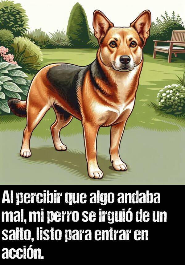 percibir: Al percibir que algo andaba mal, mi perro se irgui de un salto, listo para entrar en accin.