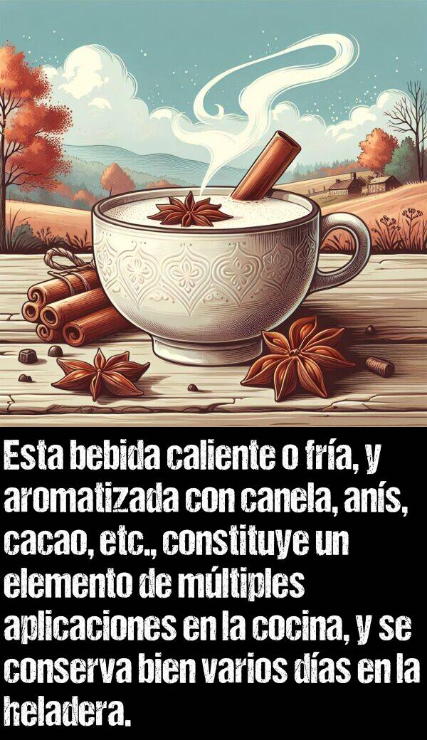 ans: Esta bebida caliente o fra, y aromatizada con canela, ans, cacao, etc., constituye un elemento de mltiples aplicaciones en la cocina, y se conserva bien varios das en la heladera.