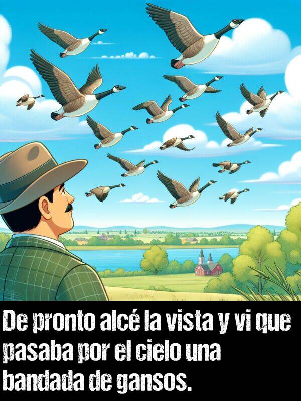 pasaba: De pronto alc la vista y vi que pasaba por el cielo una bandada de gansos.