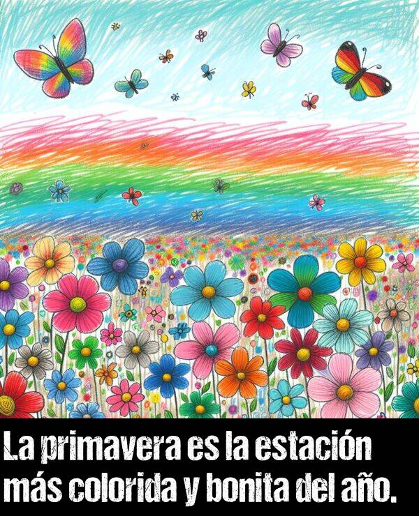 ao: La primavera es la estacin ms colorida y bonita del ao.