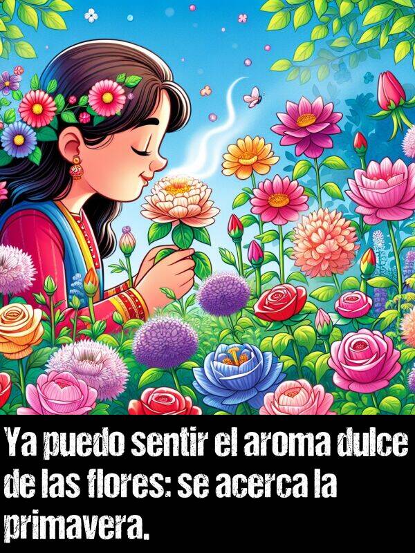 aroma: Ya puedo sentir el aroma dulce de las flores: se acerca la primavera.