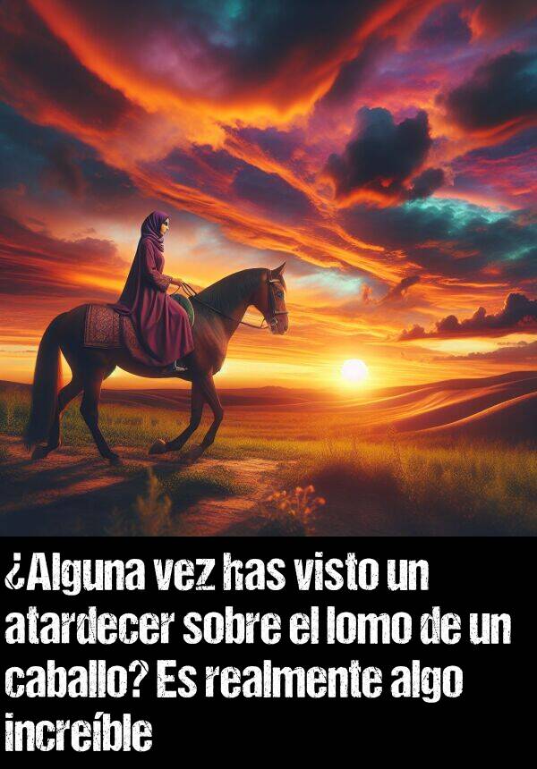 caballo: Alguna vez has visto un atardecer sobre el lomo de un caballo? Es realmente algo increble