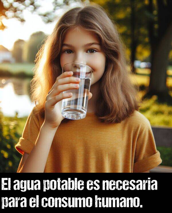 necesaria: El agua potable es necesaria para el consumo humano.