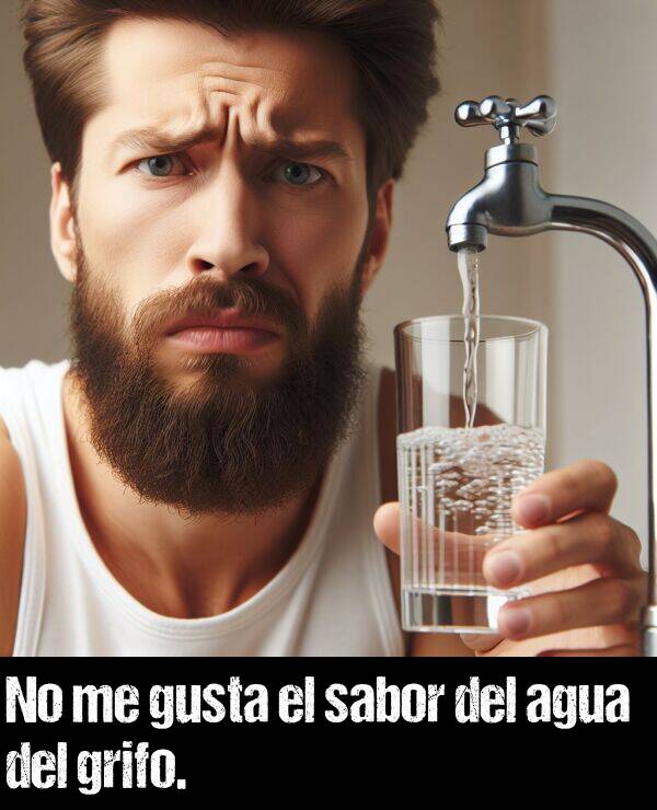 grifo: No me gusta el sabor del agua del grifo.