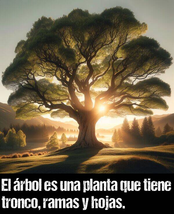 planta: El rbol es una planta que tiene tronco, ramas y hojas.