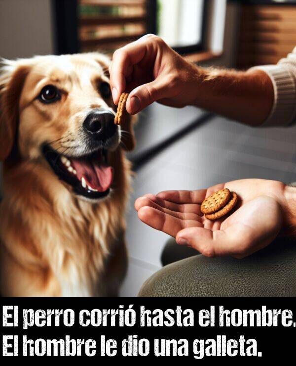 galleta: El perro corri hasta el hombre. El hombre le dio una galleta.