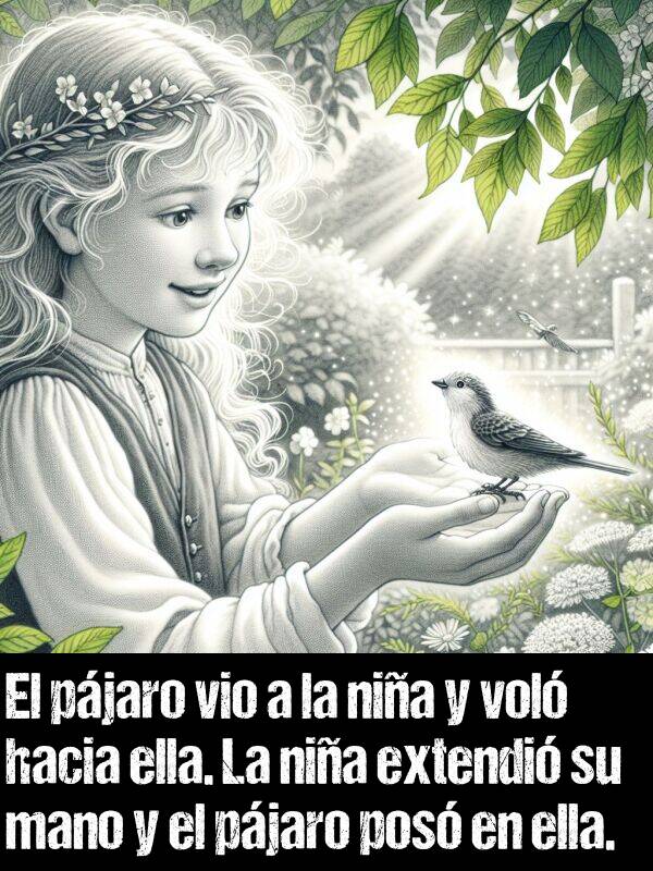 nia: El pjaro vio a la nia y vol hacia ella. La nia extendi su mano y el pjaro pos en ella.