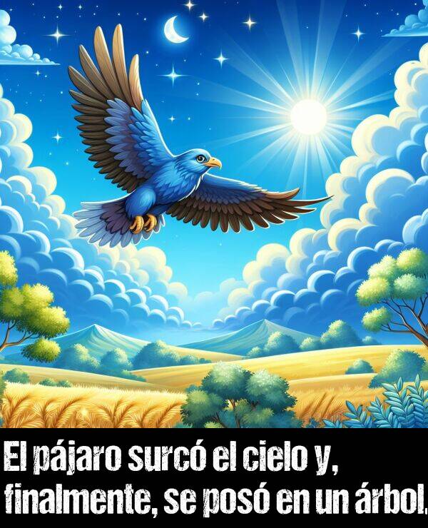 cielo: El pjaro surc el cielo y, finalmente, se pos en un rbol.