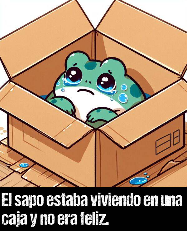 sapo: El sapo estaba viviendo en una caja y no era feliz.