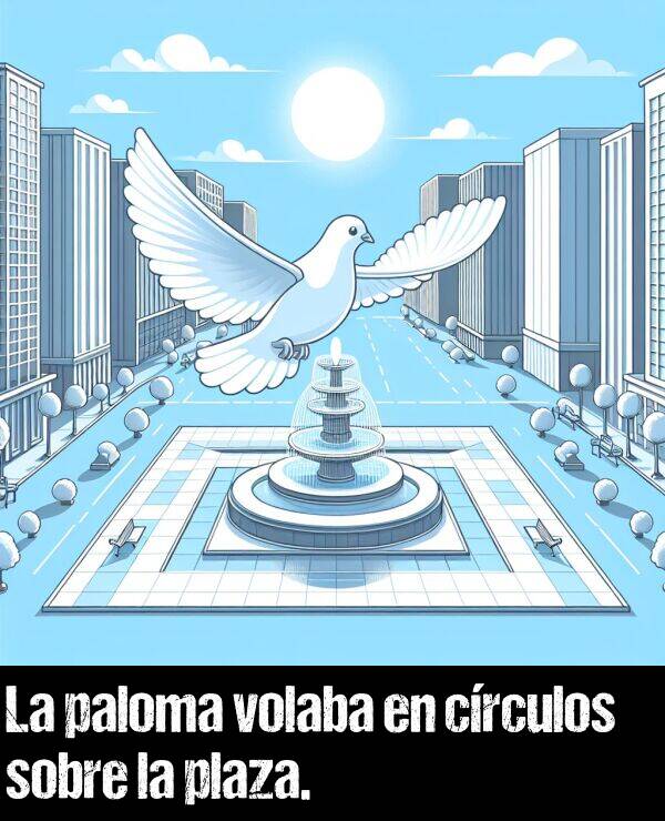 paloma: La paloma volaba en crculos sobre la plaza.