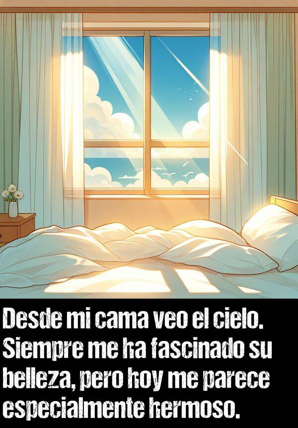 cama: Desde mi cama veo el cielo. Siempre me ha fascinado su belleza, pero hoy me parece especialmente hermoso.