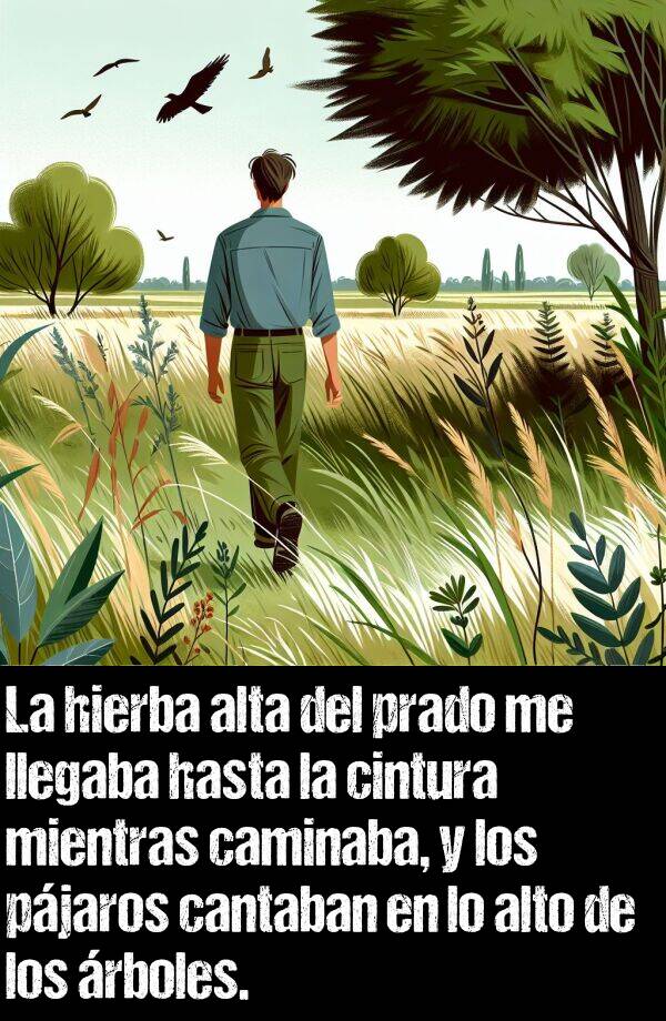 cintura: La hierba alta del prado me llegaba hasta la cintura mientras caminaba, y los pjaros cantaban en lo alto de los rboles.