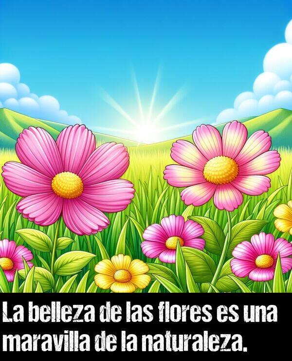 belleza: La belleza de las flores es una maravilla de la naturaleza.