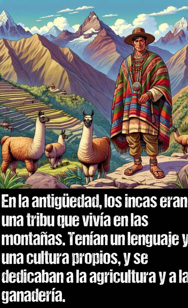 agricultura: En la antigedad, los incas eran una tribu que viva en las montaas. Tenan un lenguaje y una cultura propios, y se dedicaban a la agricultura y a la ganadera.