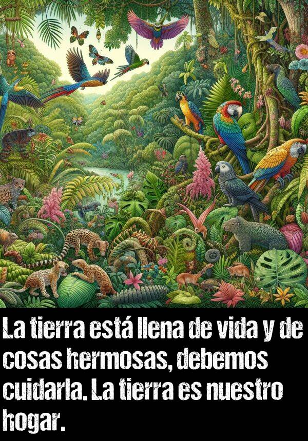 hogar: La tierra est llena de vida y de cosas hermosas, debemos cuidarla. La tierra es nuestro hogar.