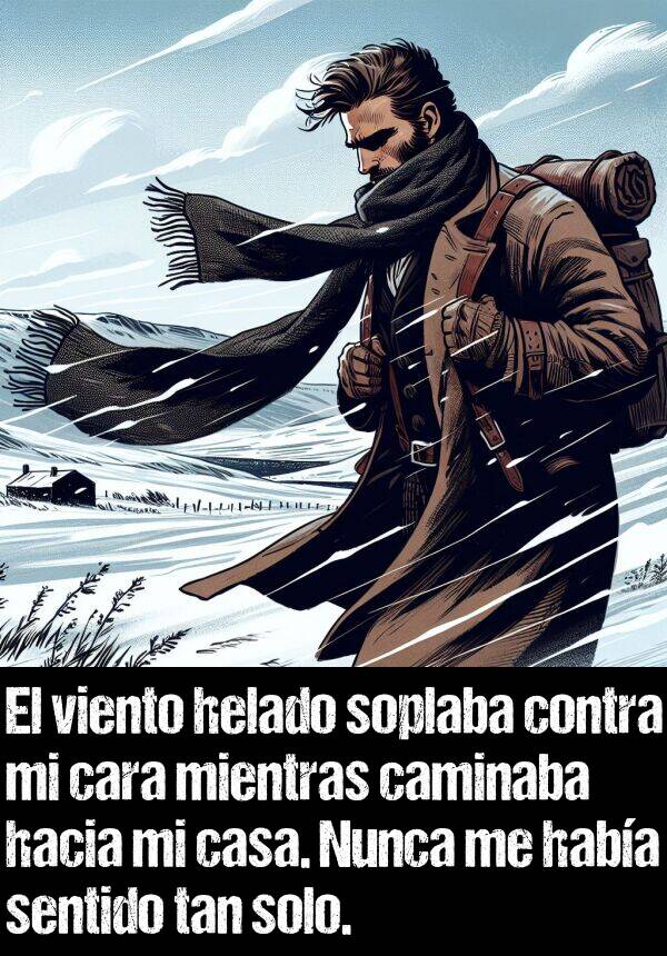 cara: El viento helado soplaba contra mi cara mientras caminaba hacia mi casa. Nunca me haba sentido tan solo.