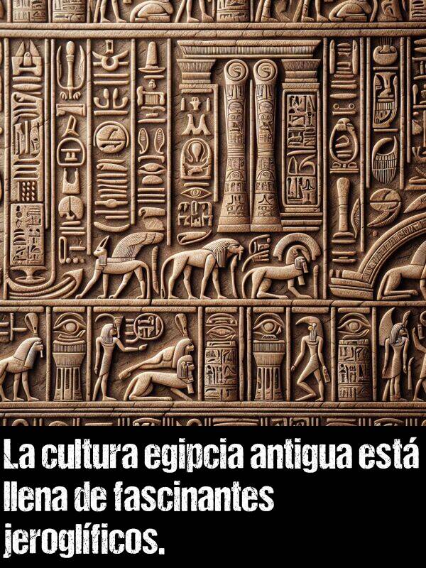 jeroglfico: La cultura egipcia antigua est llena de fascinantes jeroglficos.