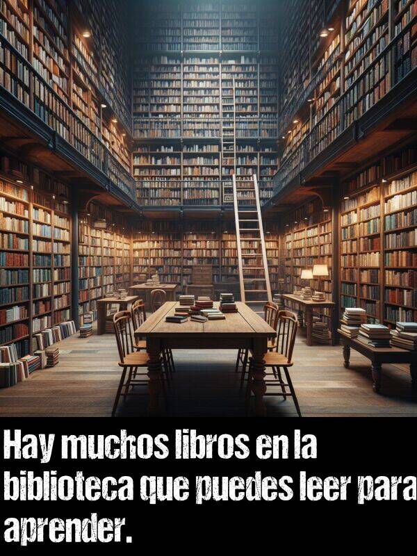 biblioteca: Hay muchos libros en la biblioteca que puedes leer para aprender.