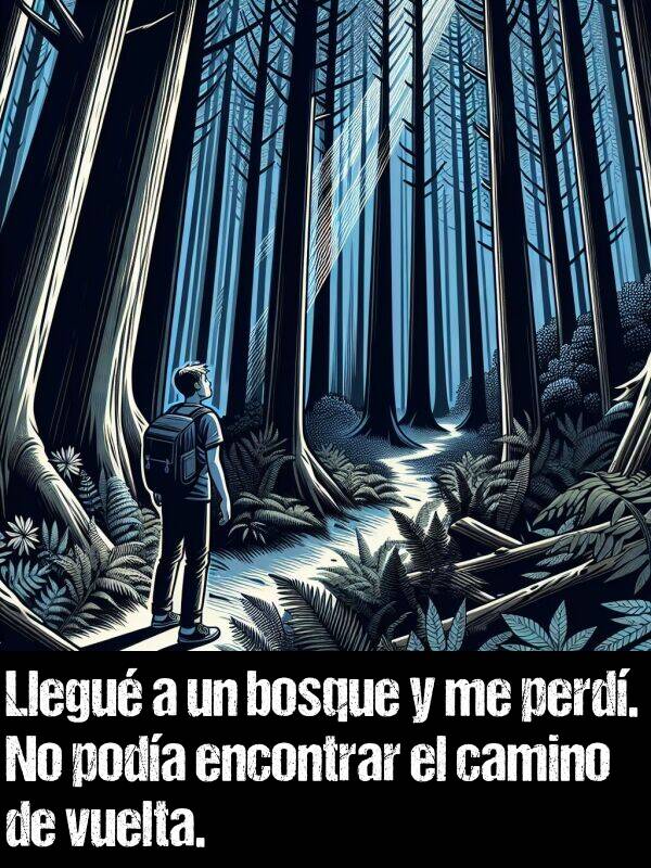 vuelta: Llegu a un bosque y me perd. No poda encontrar el camino de vuelta.