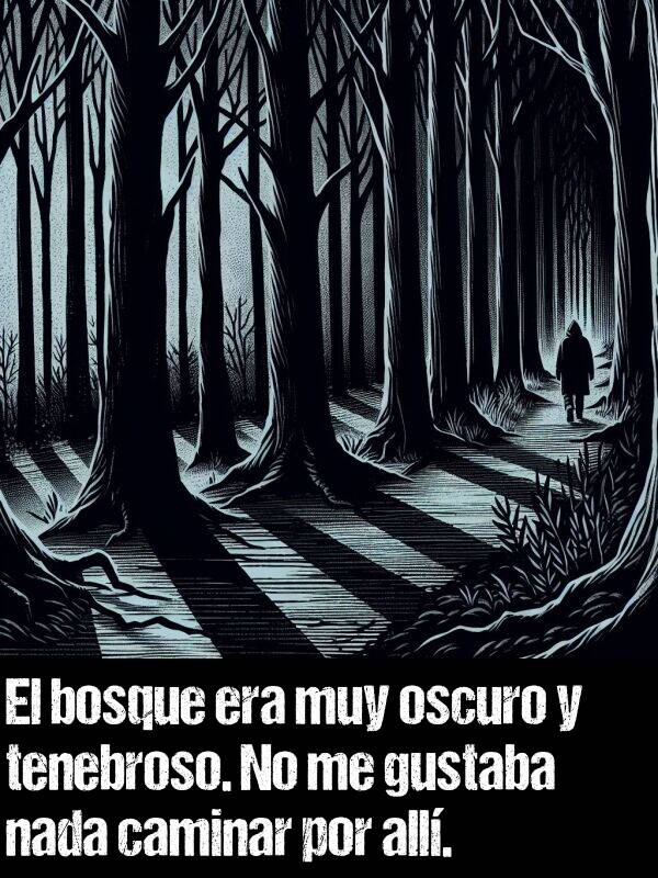 caminar: El bosque era muy oscuro y tenebroso. No me gustaba nada caminar por all.