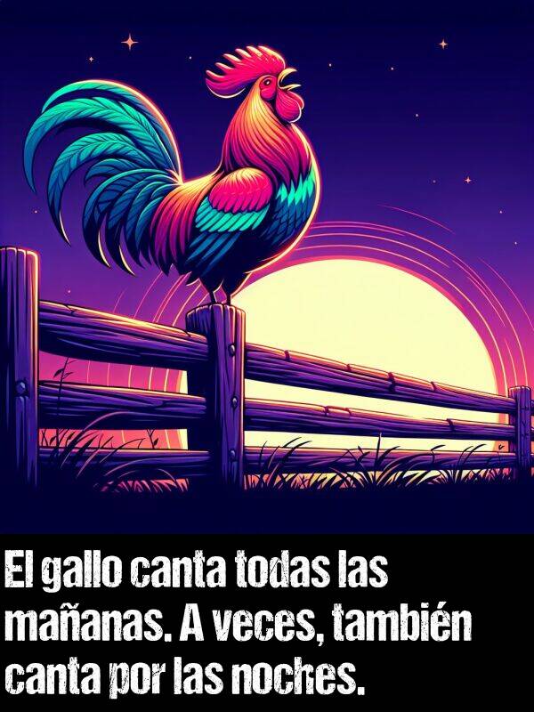 gallo: El gallo canta todas las maanas. A veces, tambin canta por las noches.