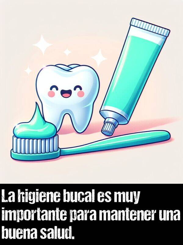 salud: La higiene bucal es muy importante para mantener una buena salud.