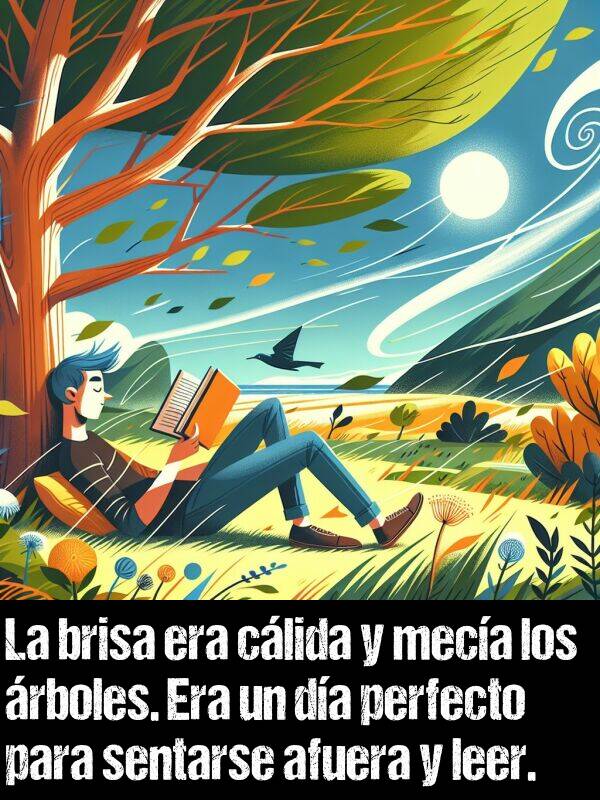 meca: La brisa era clida y meca los rboles. Era un da perfecto para sentarse afuera y leer.