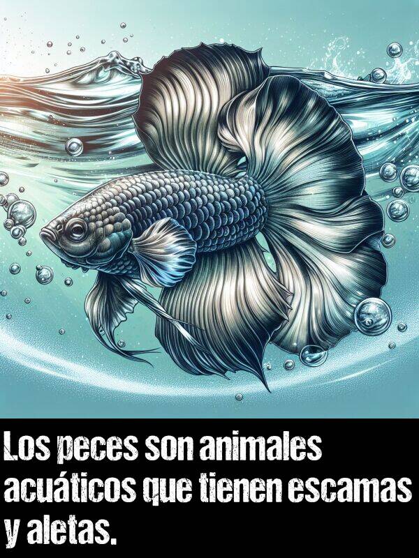 acutico: Los peces son animales acuticos que tienen escamas y aletas.