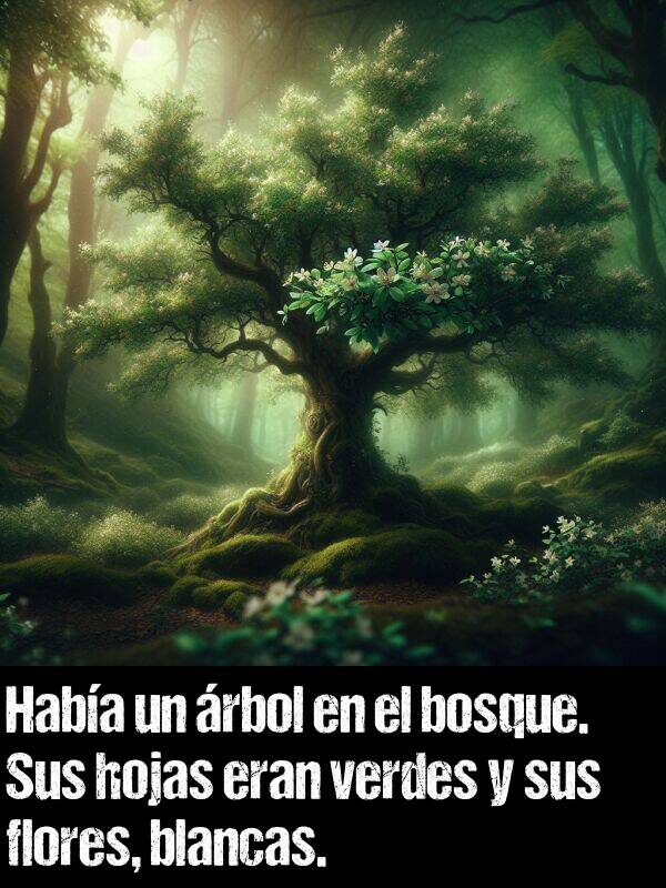 rbol: Haba un rbol en el bosque. Sus hojas eran verdes y sus flores, blancas.