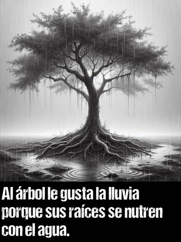 rbol: Al rbol le gusta la lluvia porque sus races se nutren con el agua.