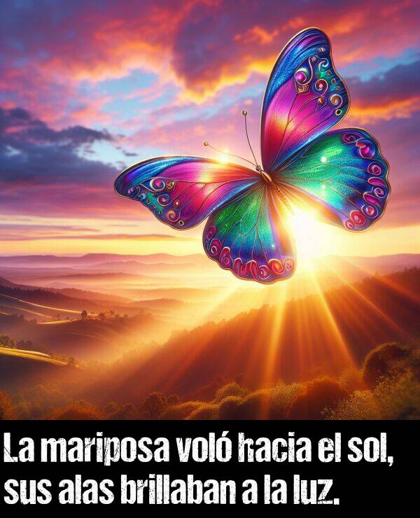 mariposa: La mariposa vol hacia el sol, sus alas brillaban a la luz.