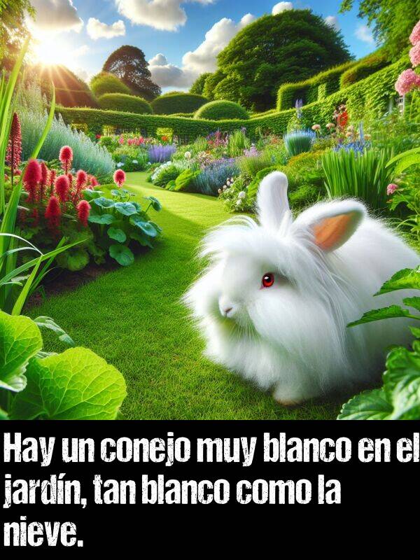 hay: Hay un conejo muy blanco en el jardn, tan blanco como la nieve.